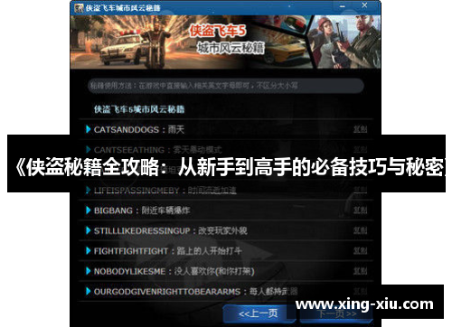 《侠盗秘籍全攻略：从新手到高手的必备技巧与秘密》